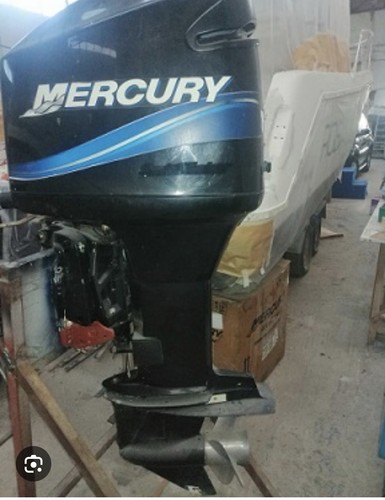 Ricambi mercury optimax 150 - ricambi,