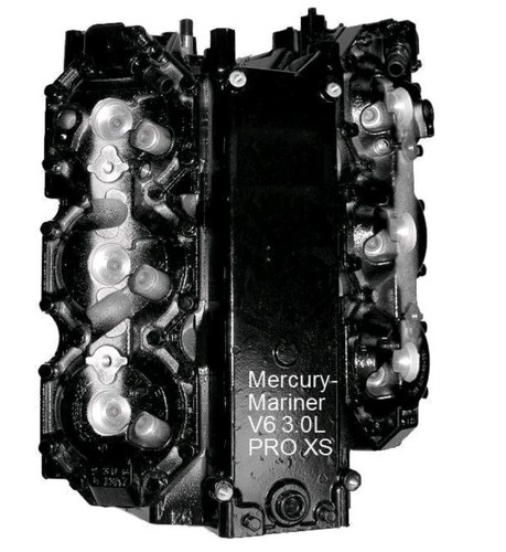 Mercury optimax powerhead - mercury,
